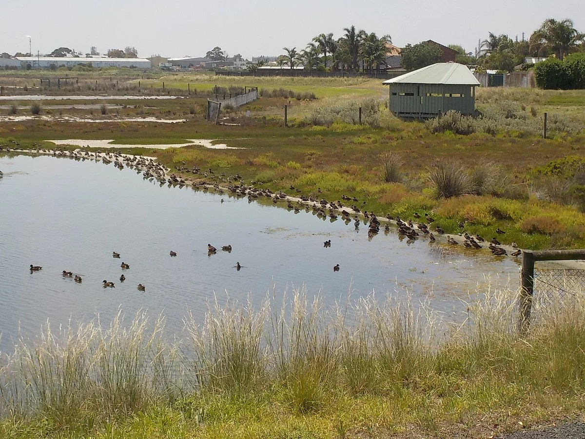 Truganina Swamp