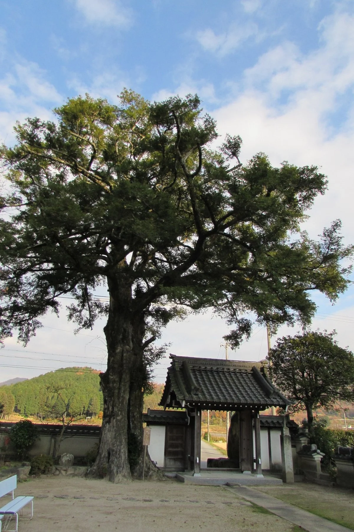 Saiho-ji Temple