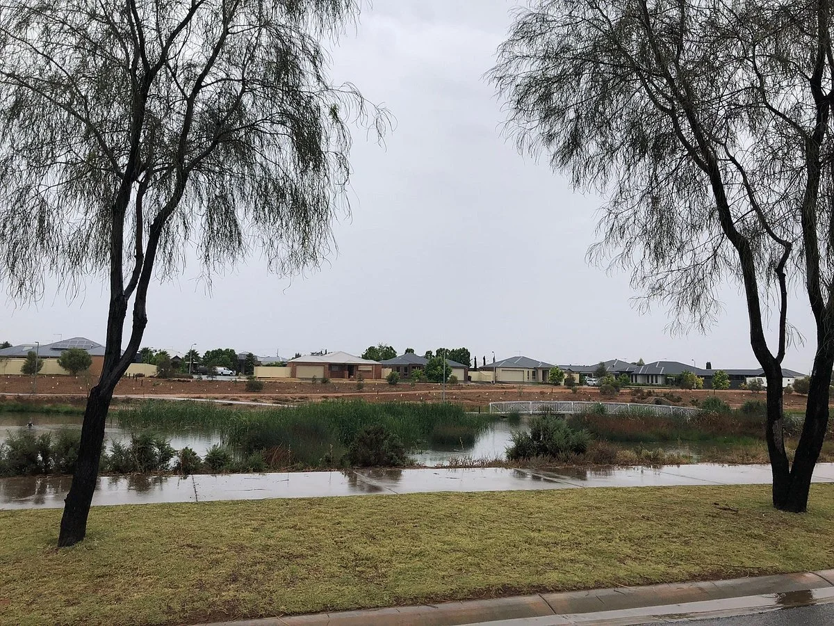 Dunning Wetlands