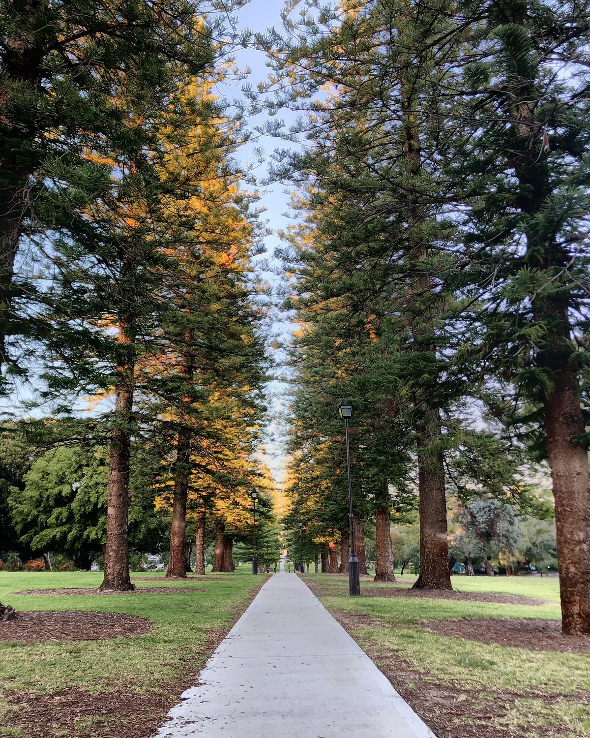 Mueller Park