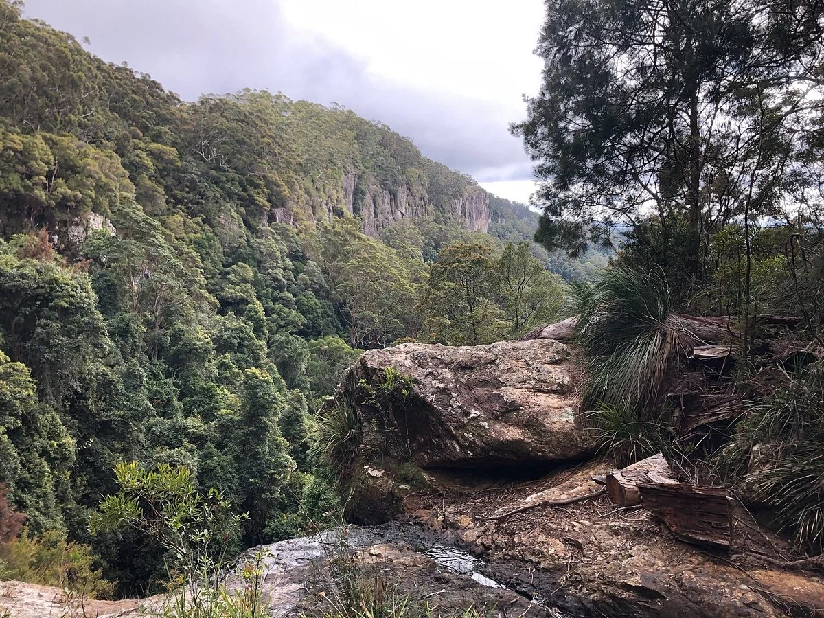 Tallanbana Picnic Area