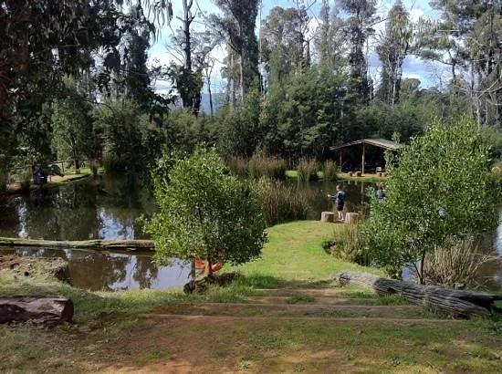 Marysville Trout and Salmon Ponds