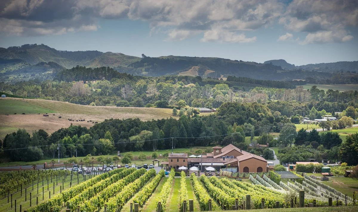 Ascension Wine Estate Matakana Auckland