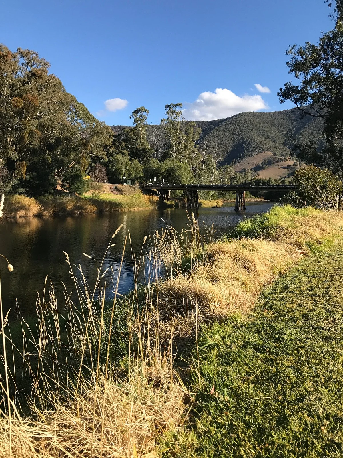 Licola Picnic Reserve