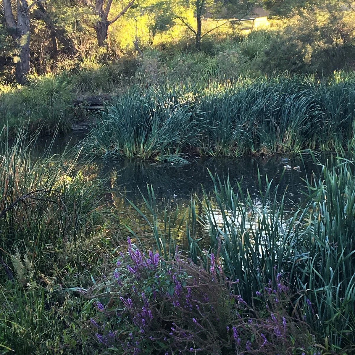 Boogong Reserve
