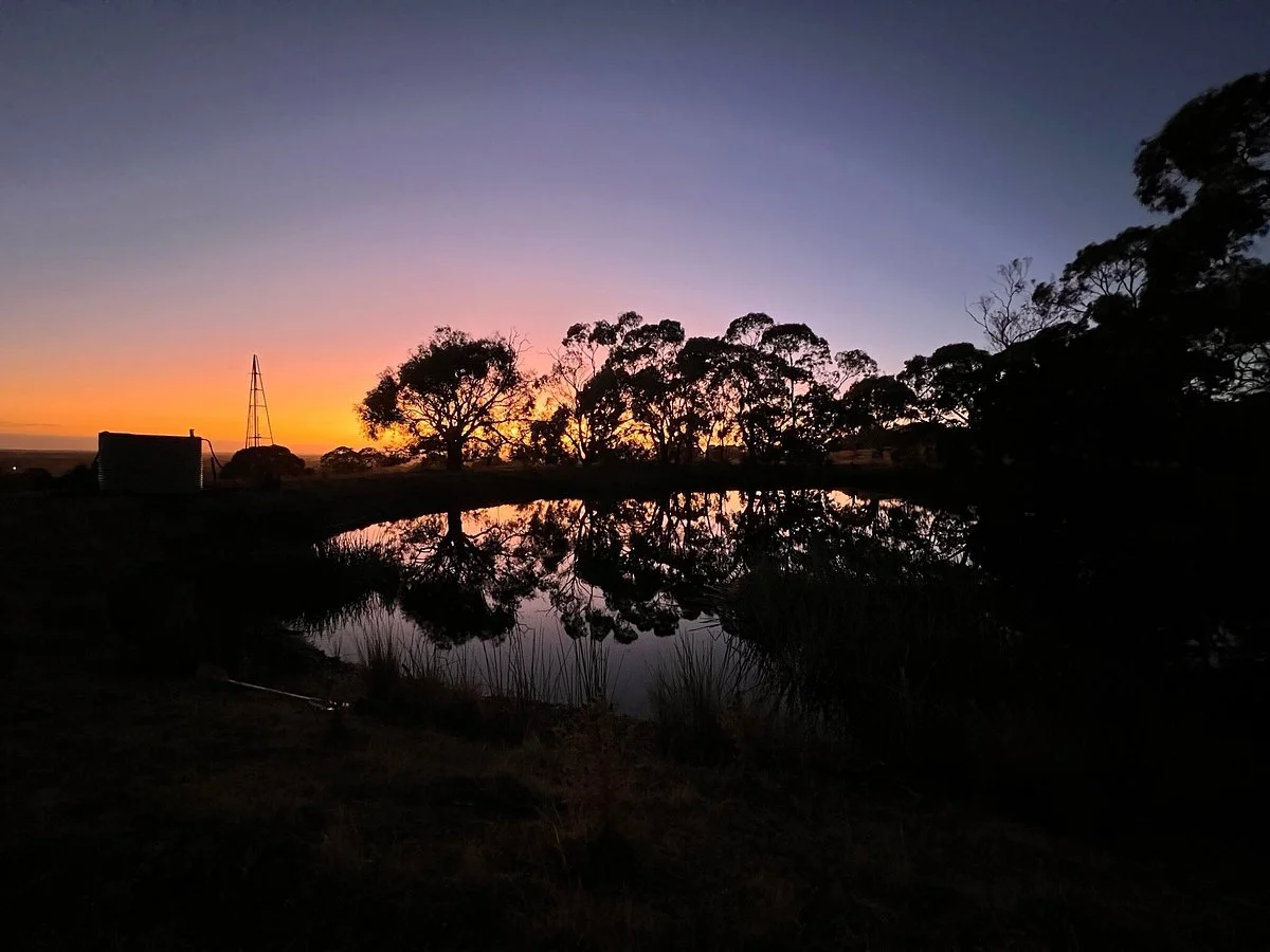 Tarndwarncoort Homestead