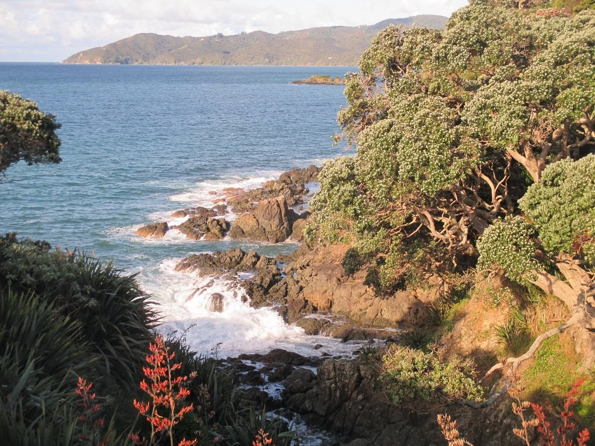 Taumarumaru Scenic Reserve Walk