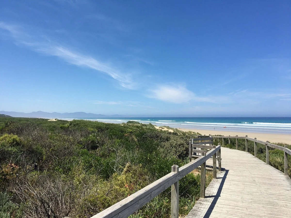 Waratah Beach