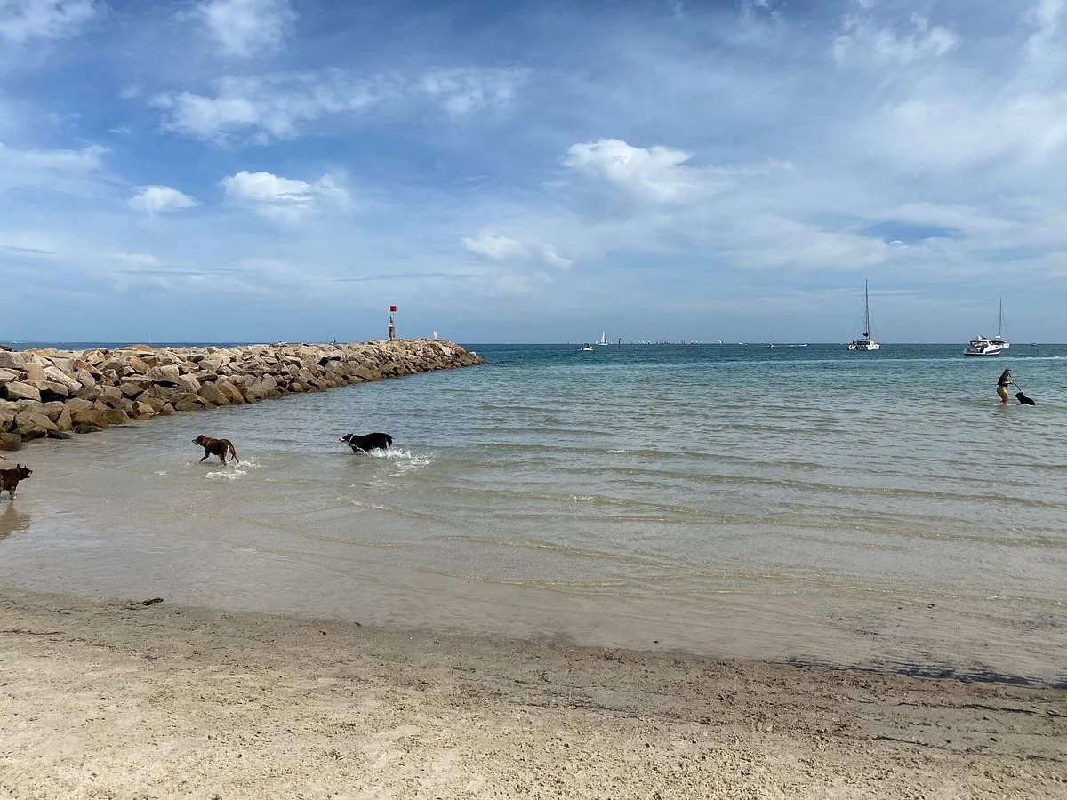 Tassells Cove