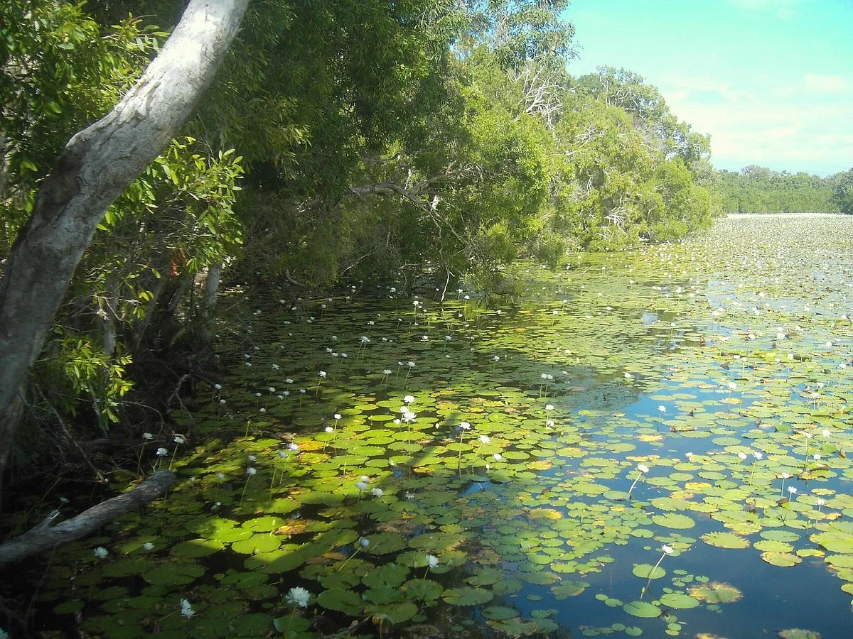 Keating's Lagoon