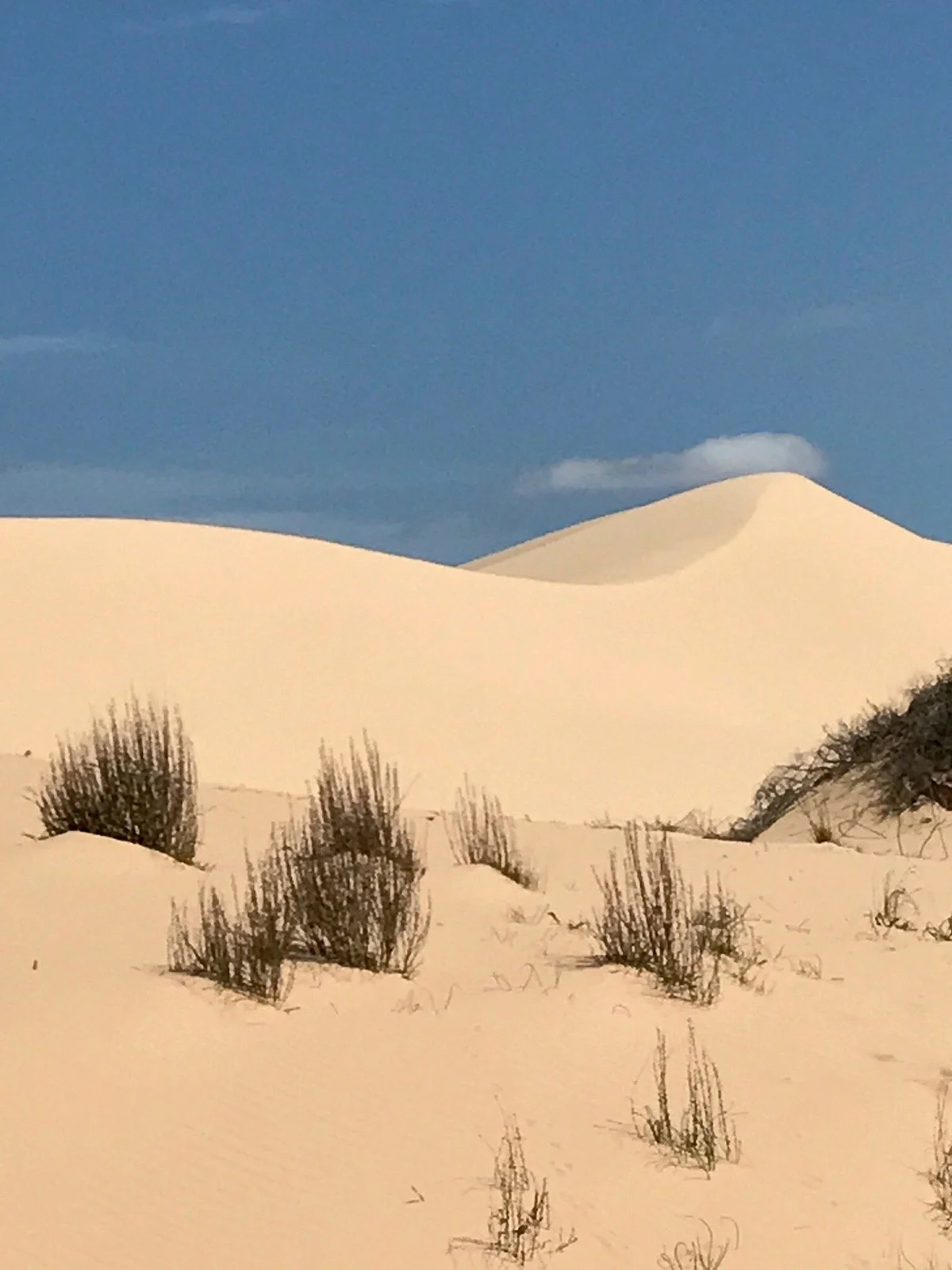 Lake Mungo