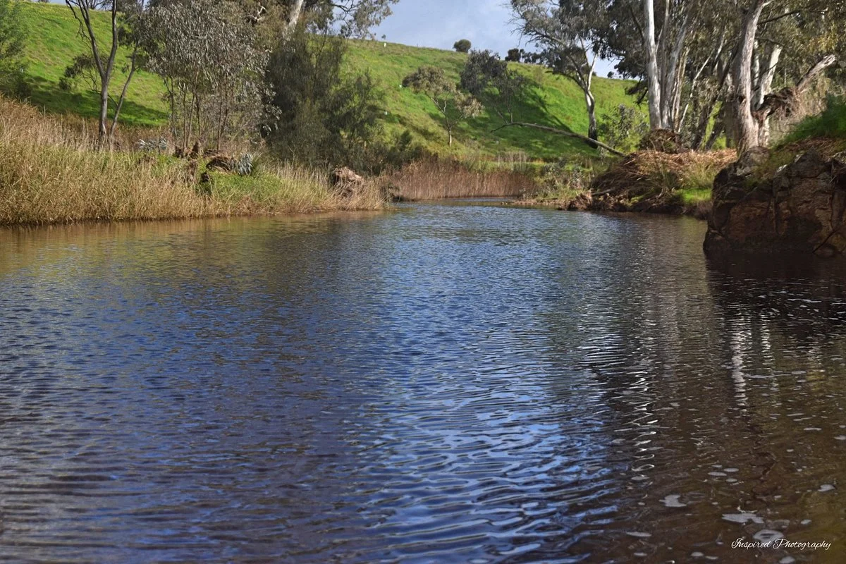 Rocks Reserve