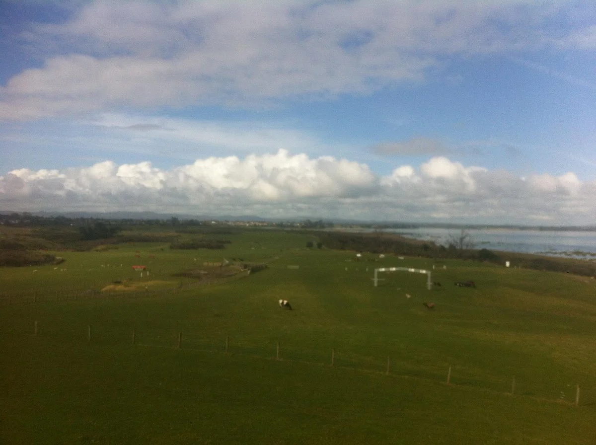 Puhinui Reserve