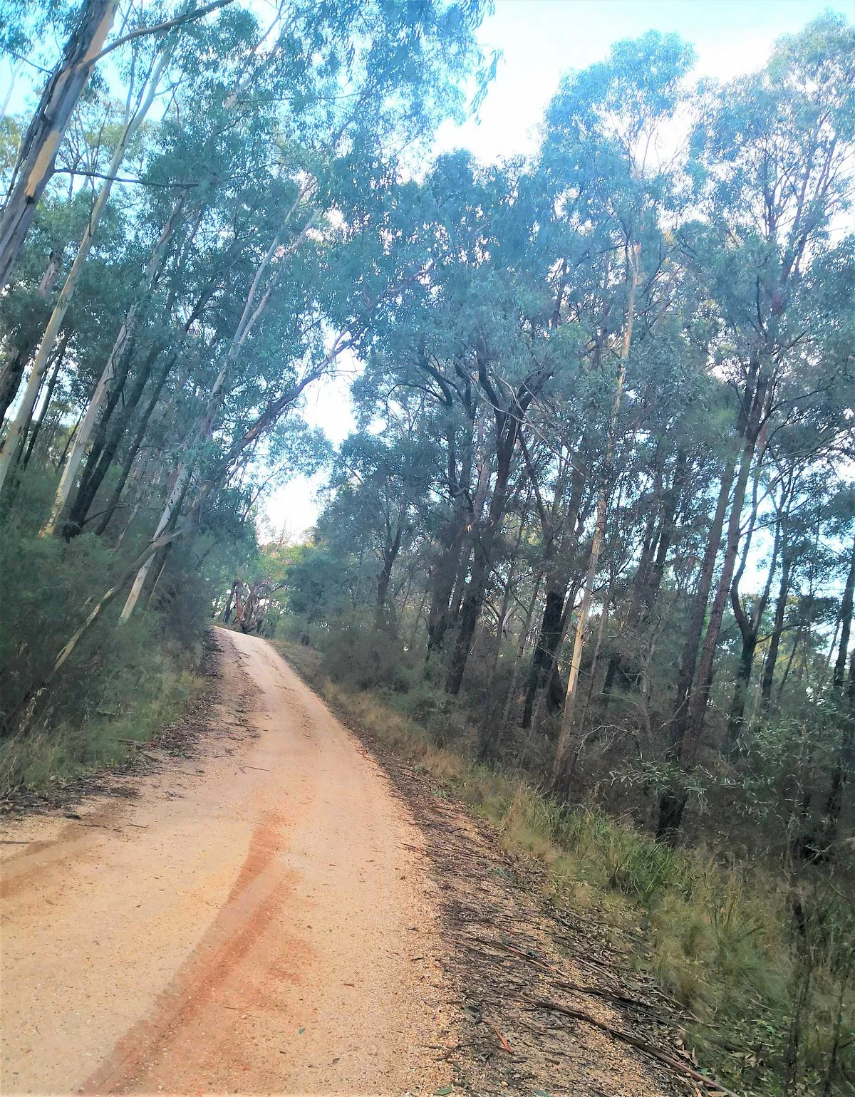 Moggs Creek Picnic Area