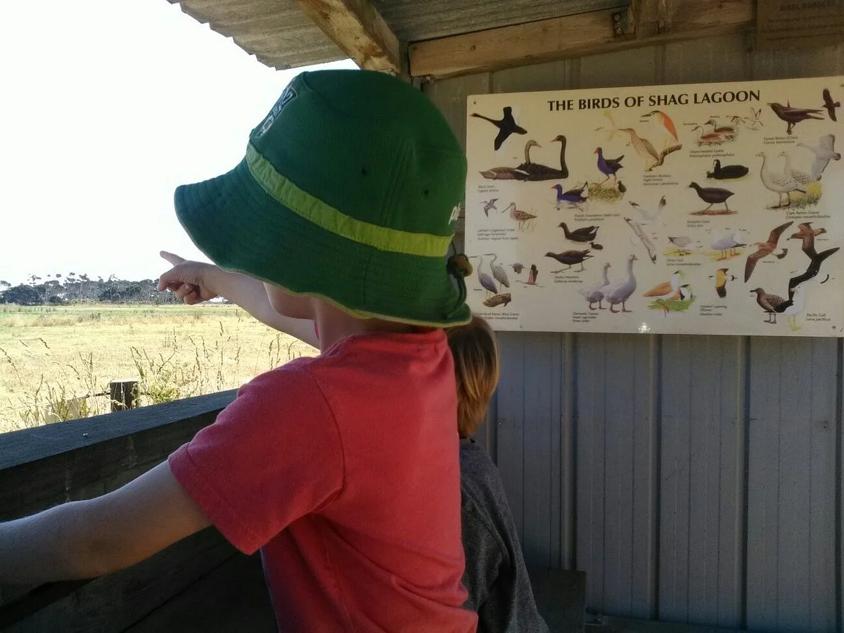 Shag Lagoon Bird Hide