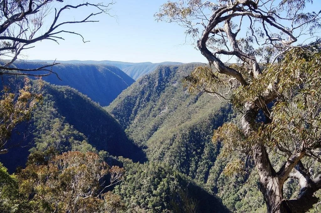 Not Tia Falls (residentials)