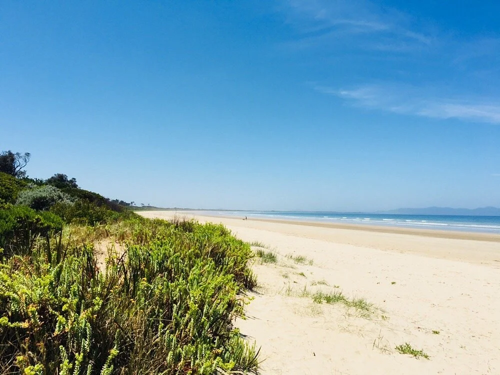 Waratah Bay