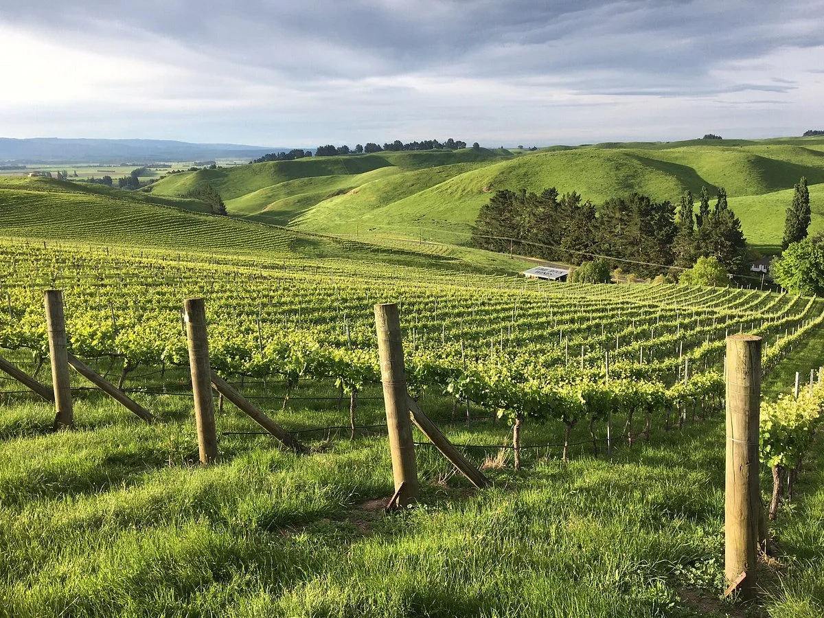 Lime Rock Wines