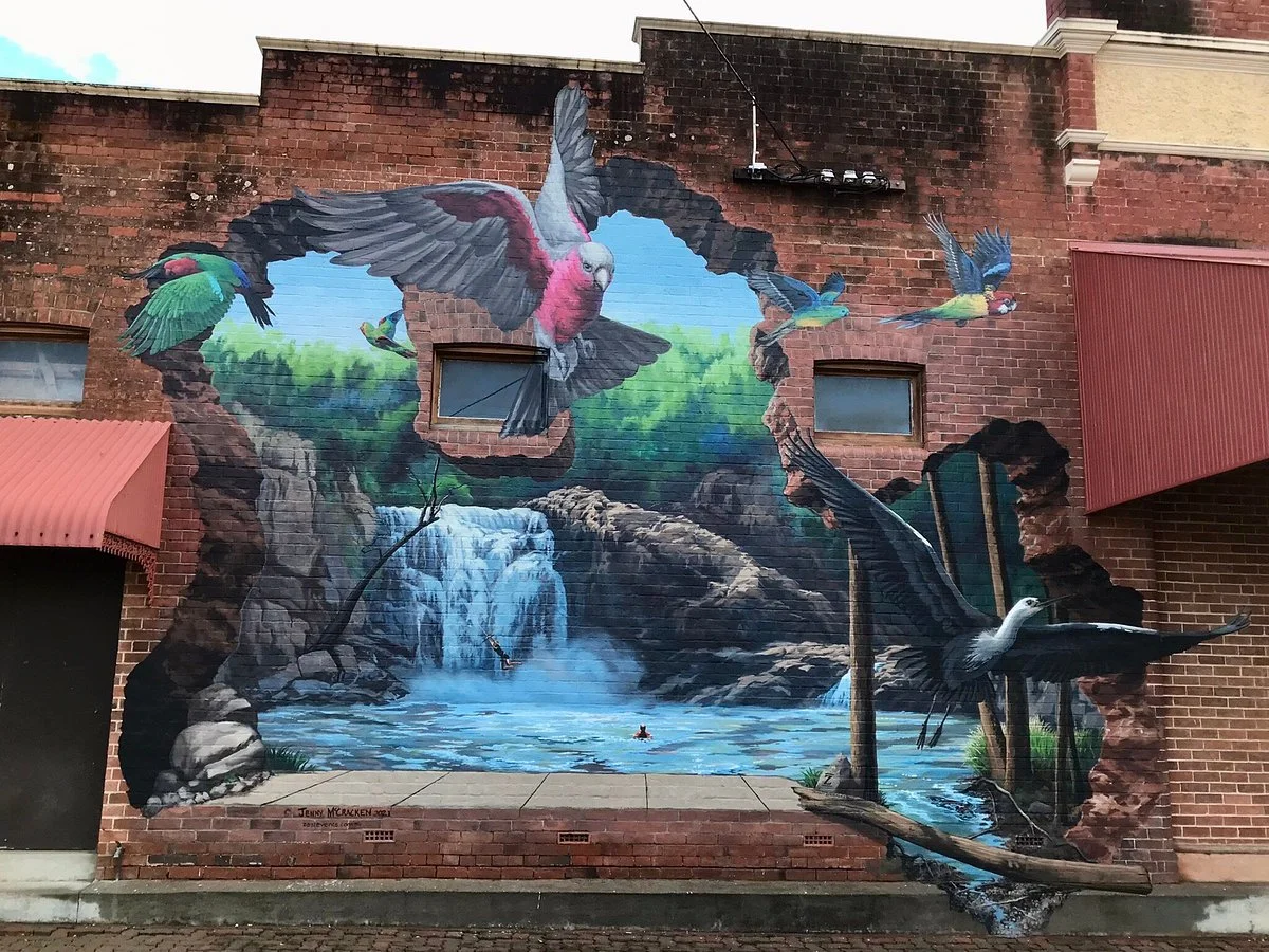 Barraba Silo Art