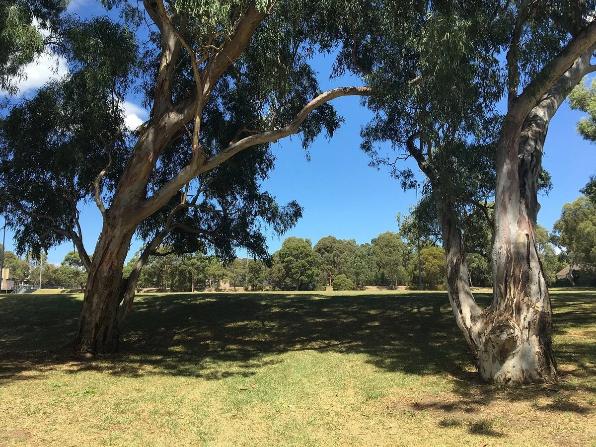 Stradbroke Park