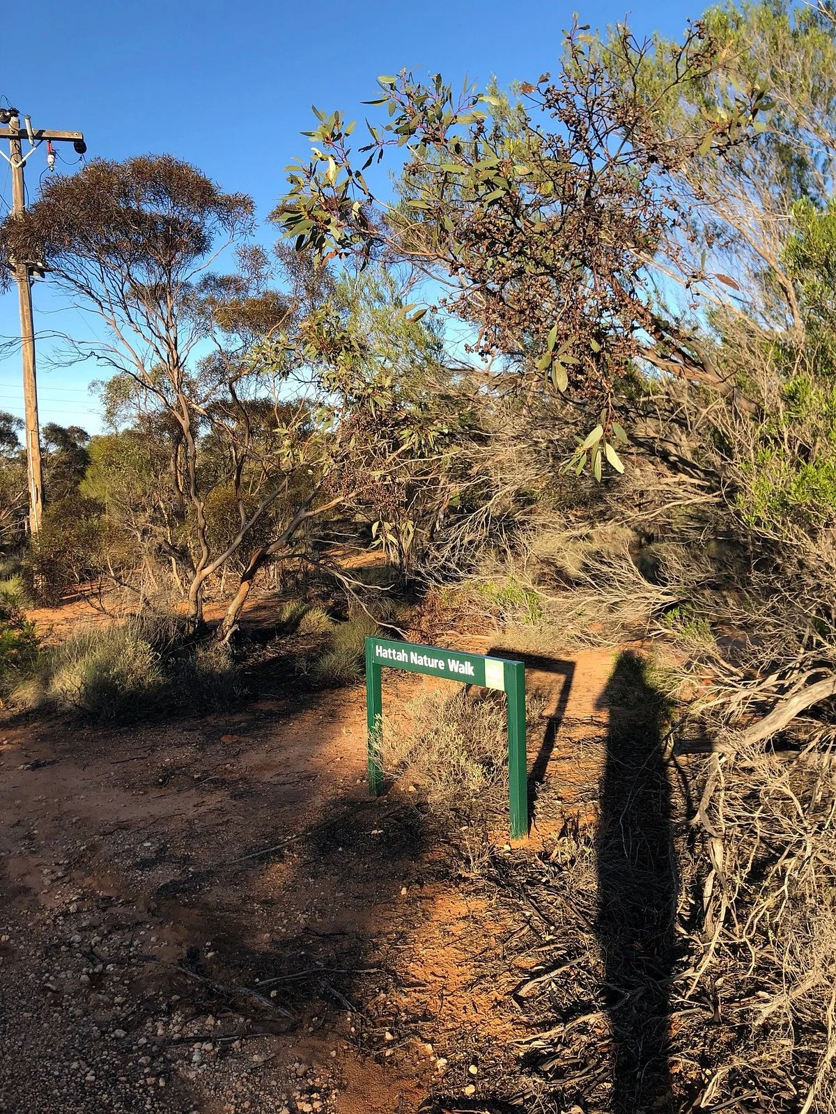 Hattah Nature Walk
