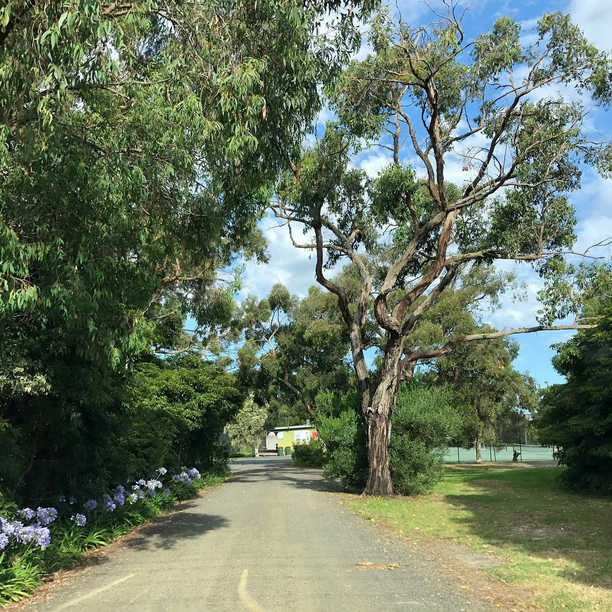 Thompson Reserve