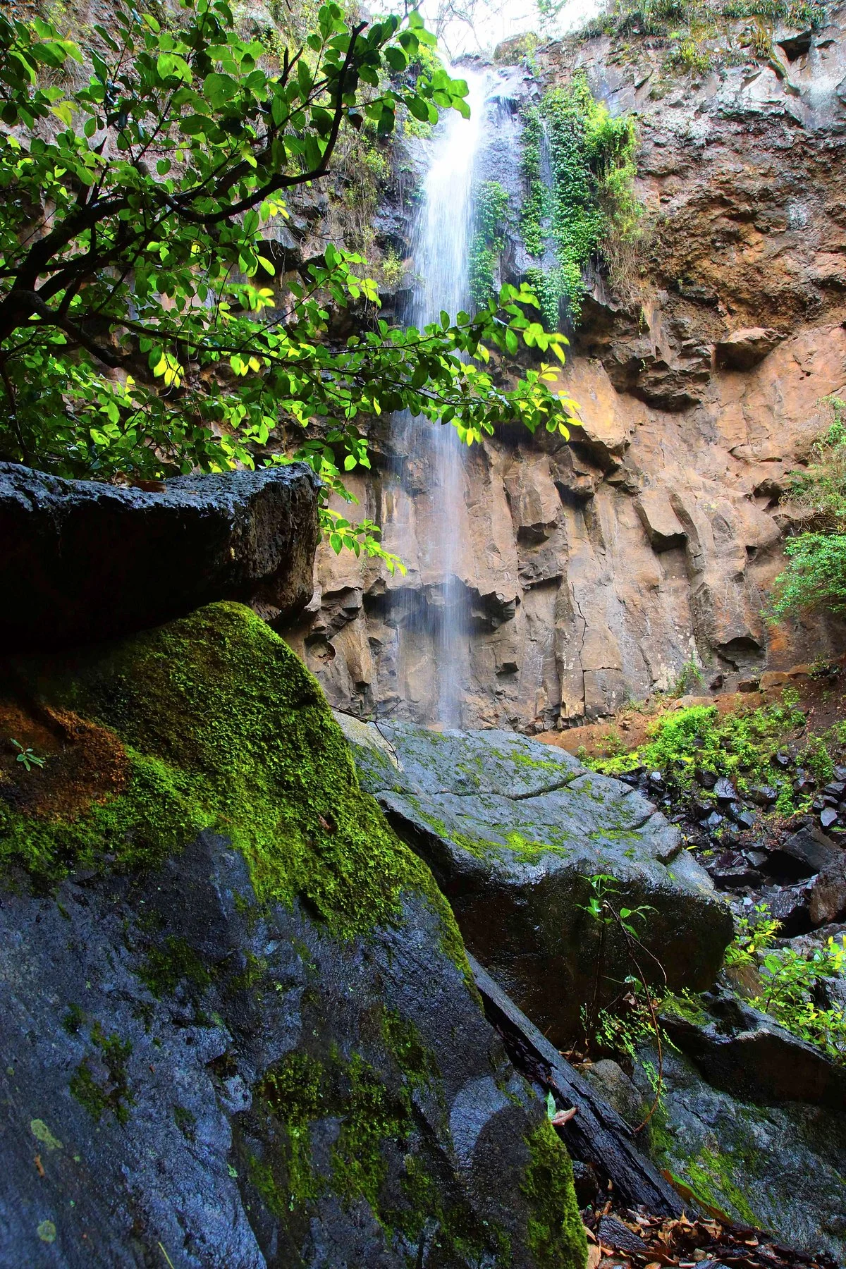 Browns Falls