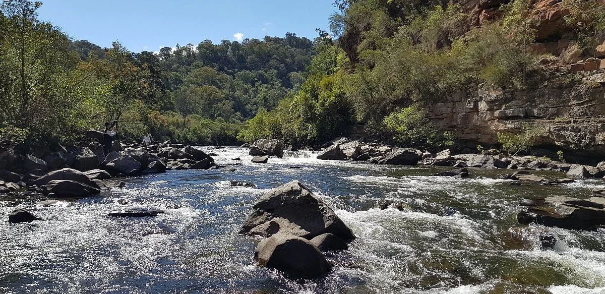 Mitchell River Walking Track
