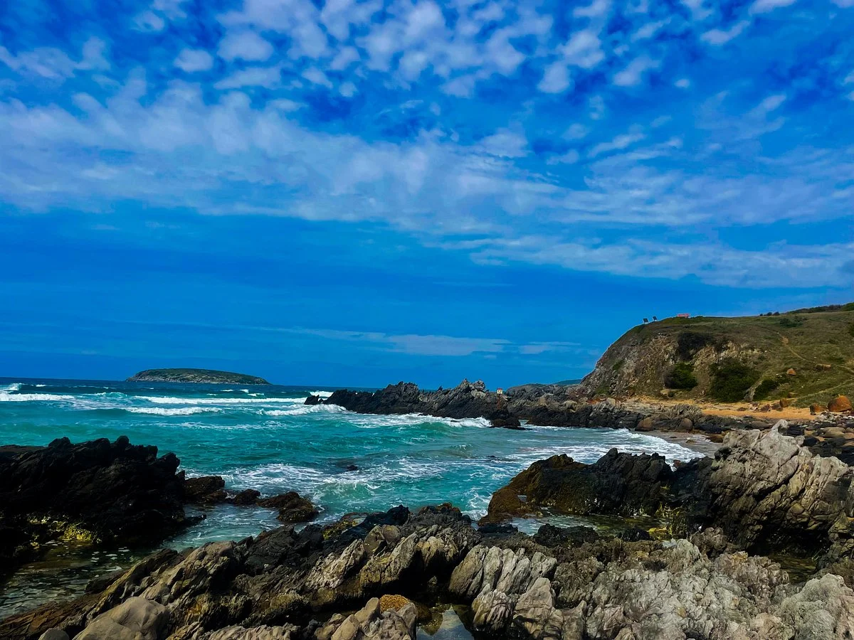 Petrel Cove