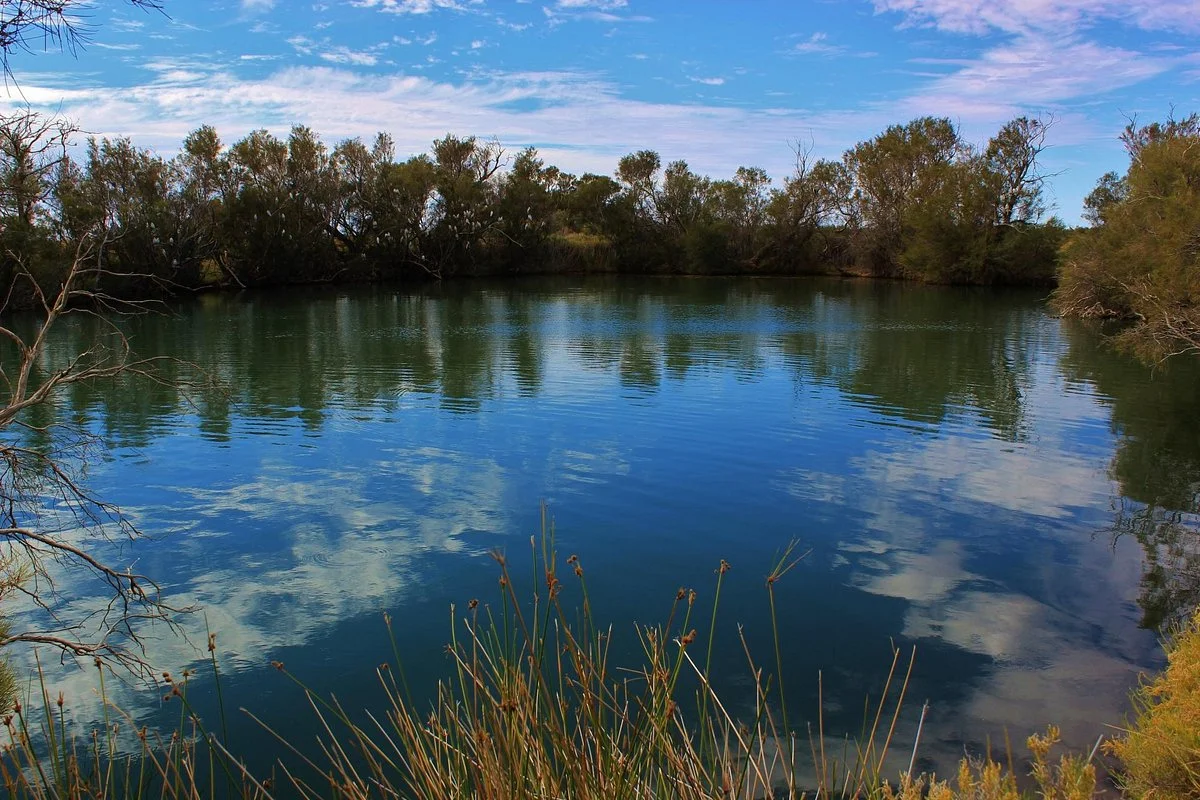 Dalhousie Mound Springs