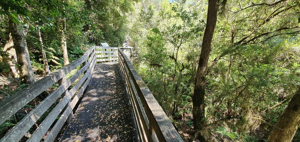 Mackenzie River Rainforest Walk