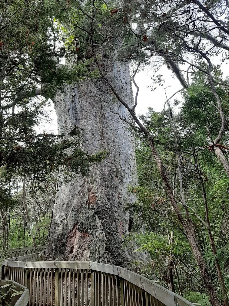 Tane Moana