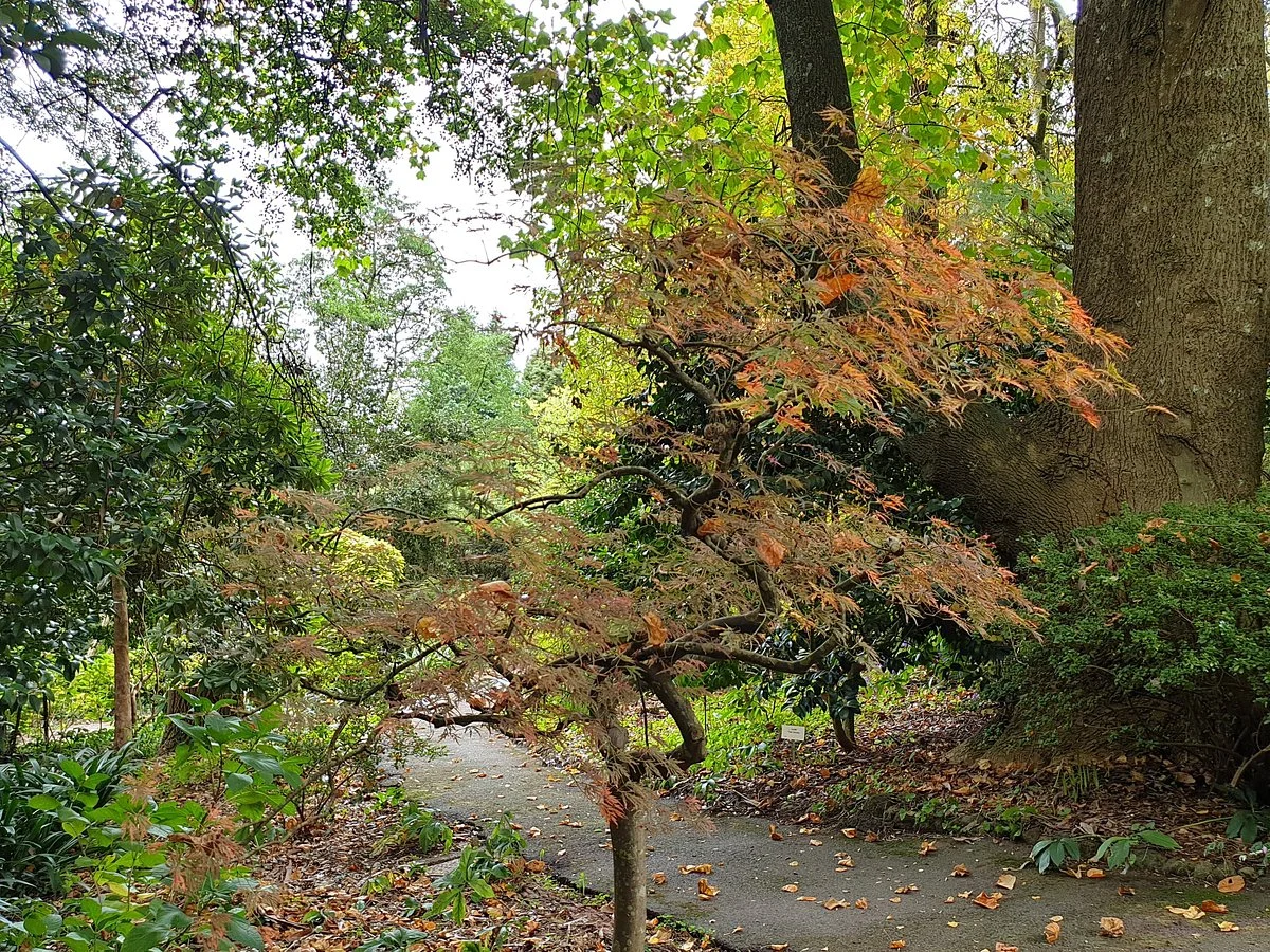 George Tindale Memorial Gardens