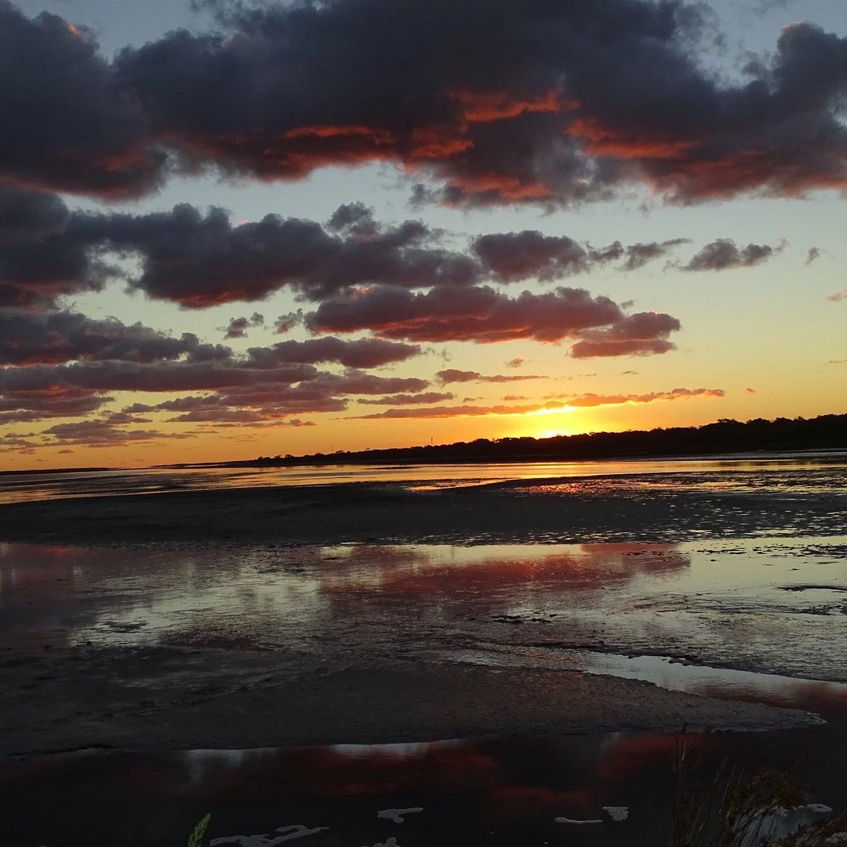 Lake Reeve Lookout