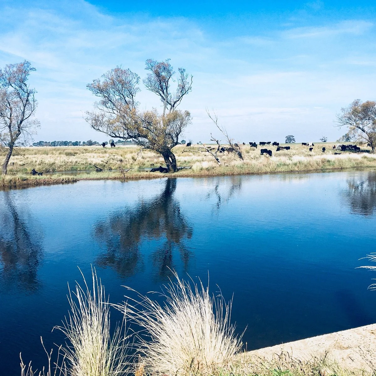 Evandale Rotary Park