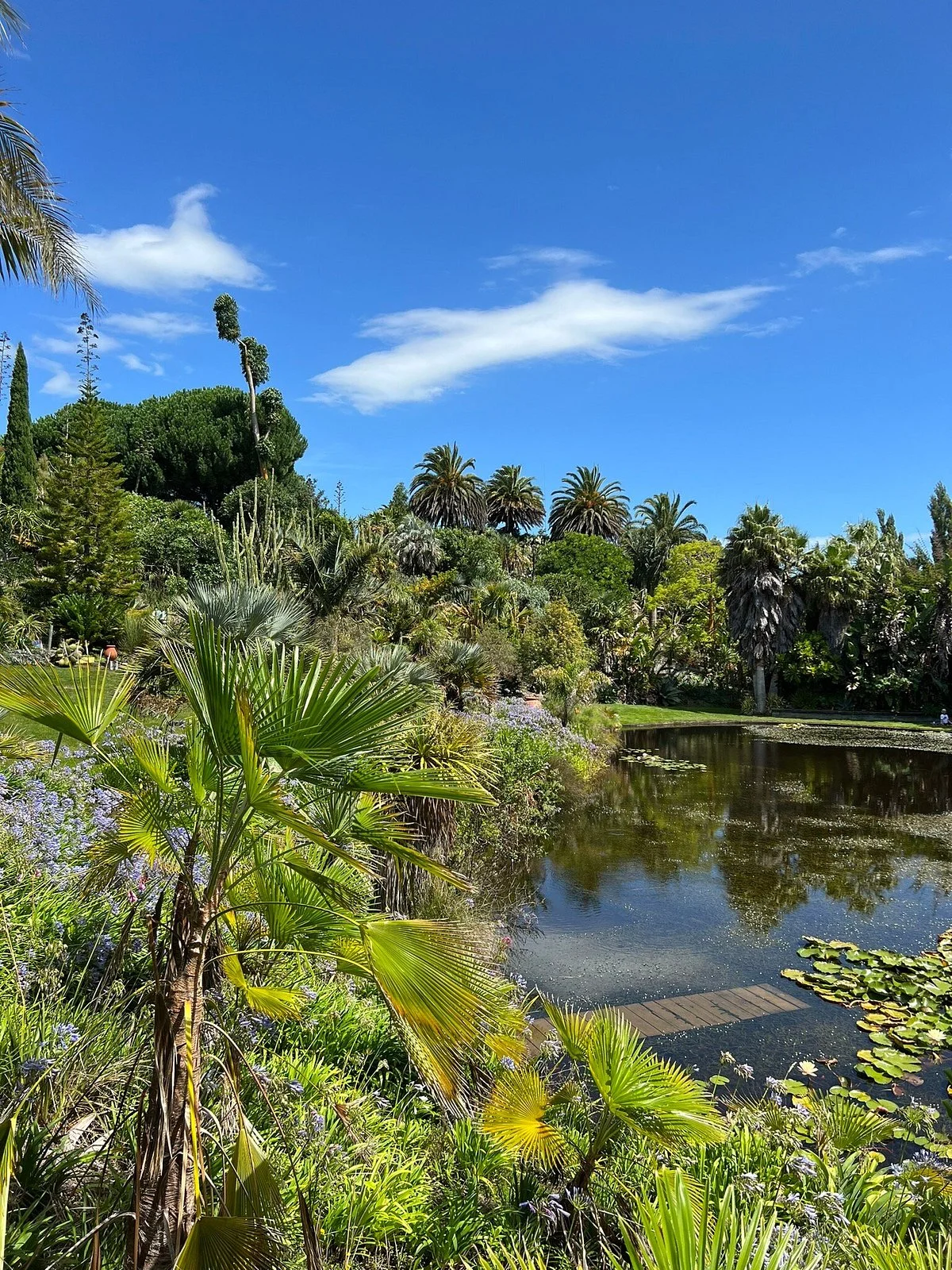 Paloma Gardens