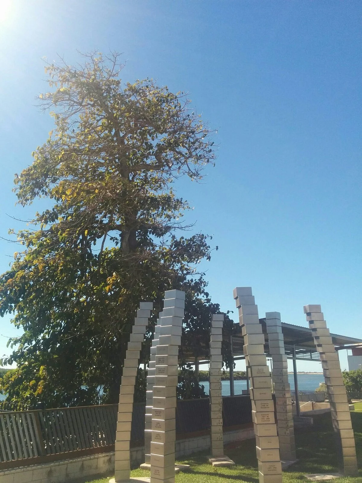 The Leichhardt Tree