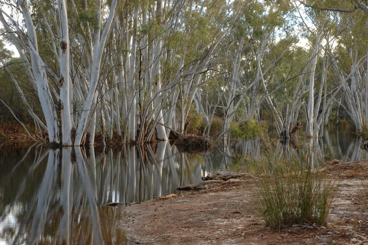 Canning Stock Route