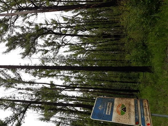 Bemm River Foreshore