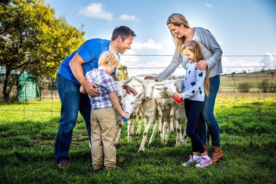 Sunhill Dairy Goats