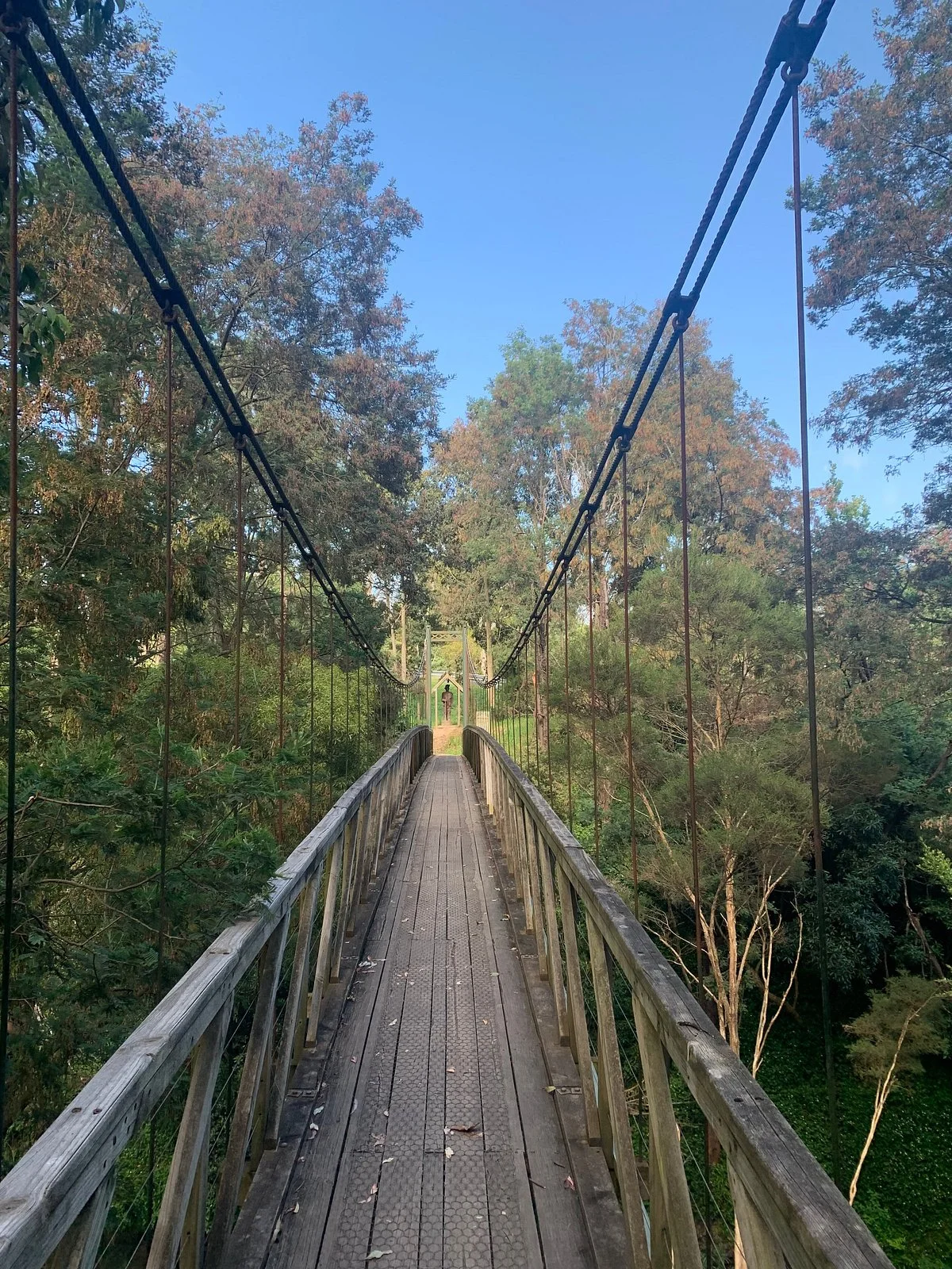 Loch Suspension Bridge