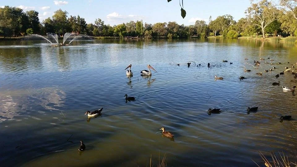 Belvoir Park
