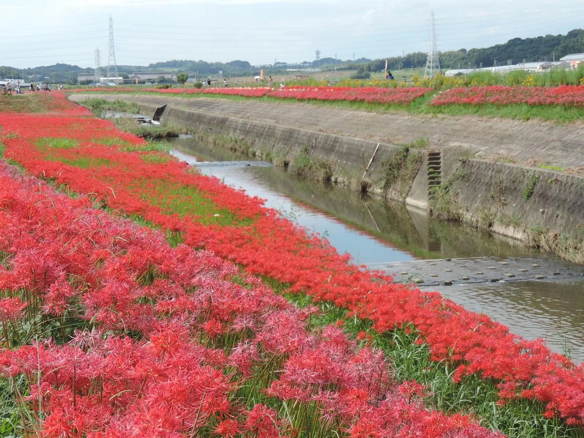 Niimi Nankichi Memorial Museum