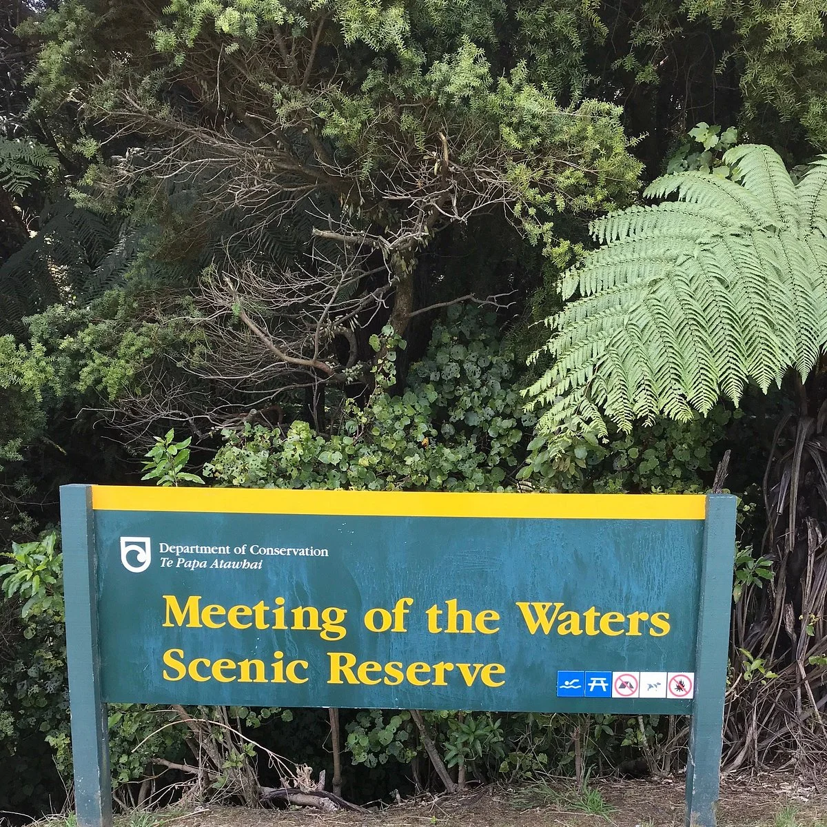 Burgess Park (Meeting of The Waters)