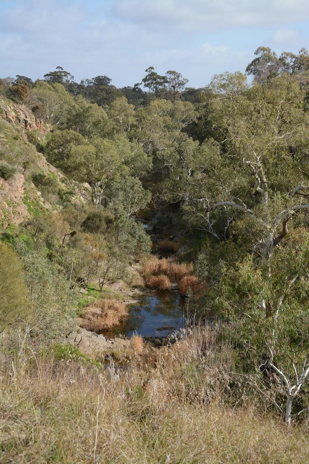 Altona CSR Landcare Reserve
