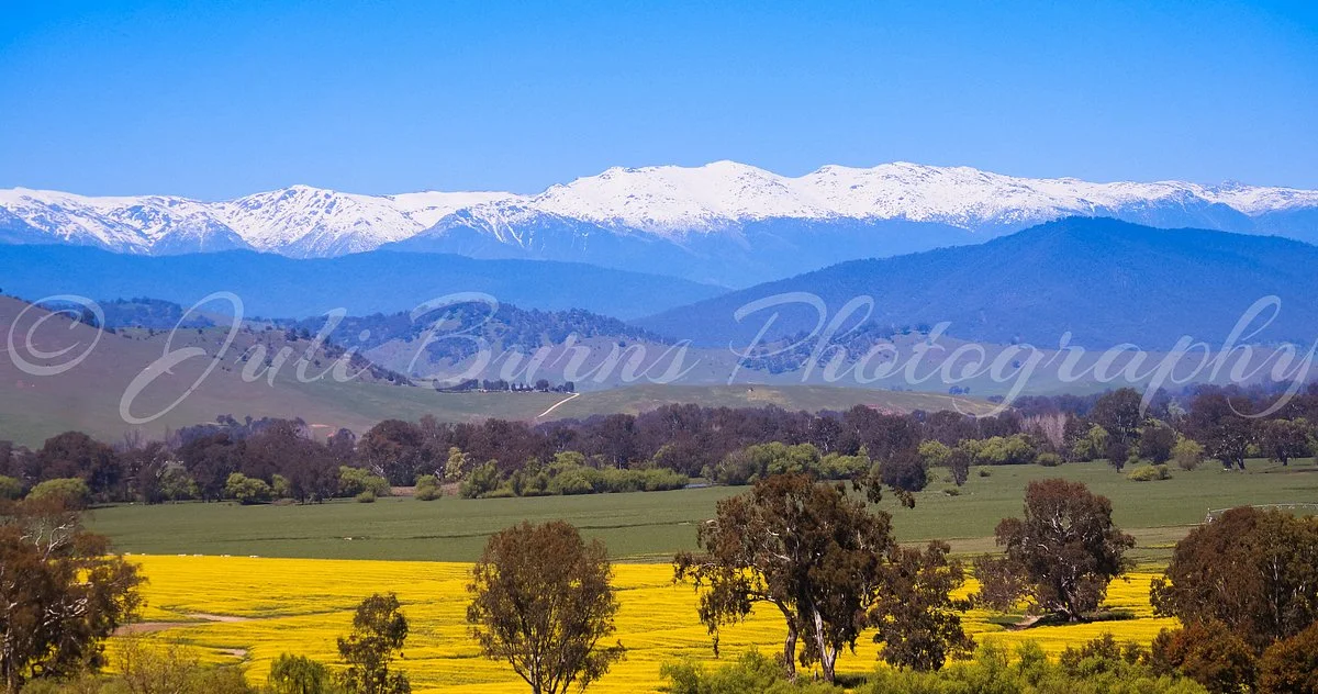 Farran's Lookout