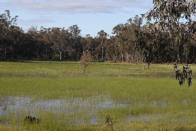 Wartook State Forest