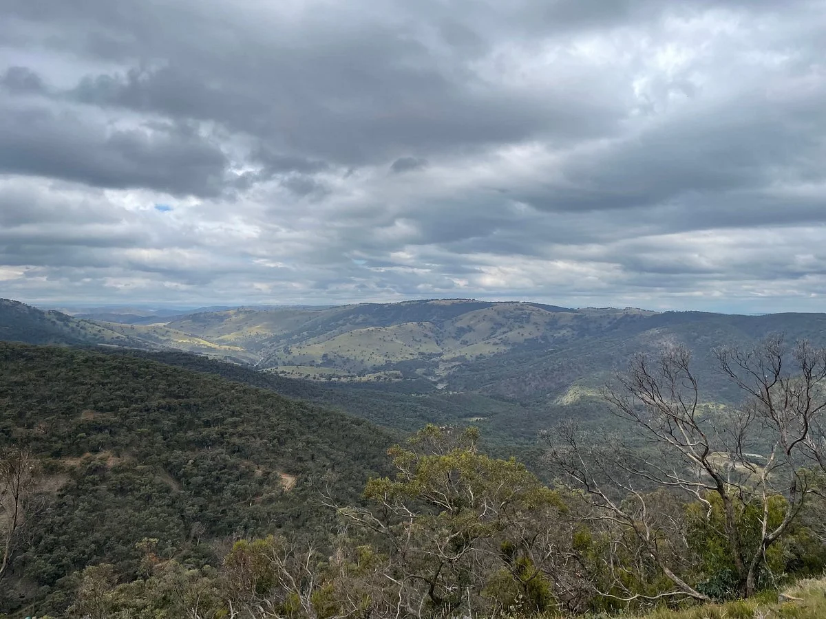 Merlins Lookout