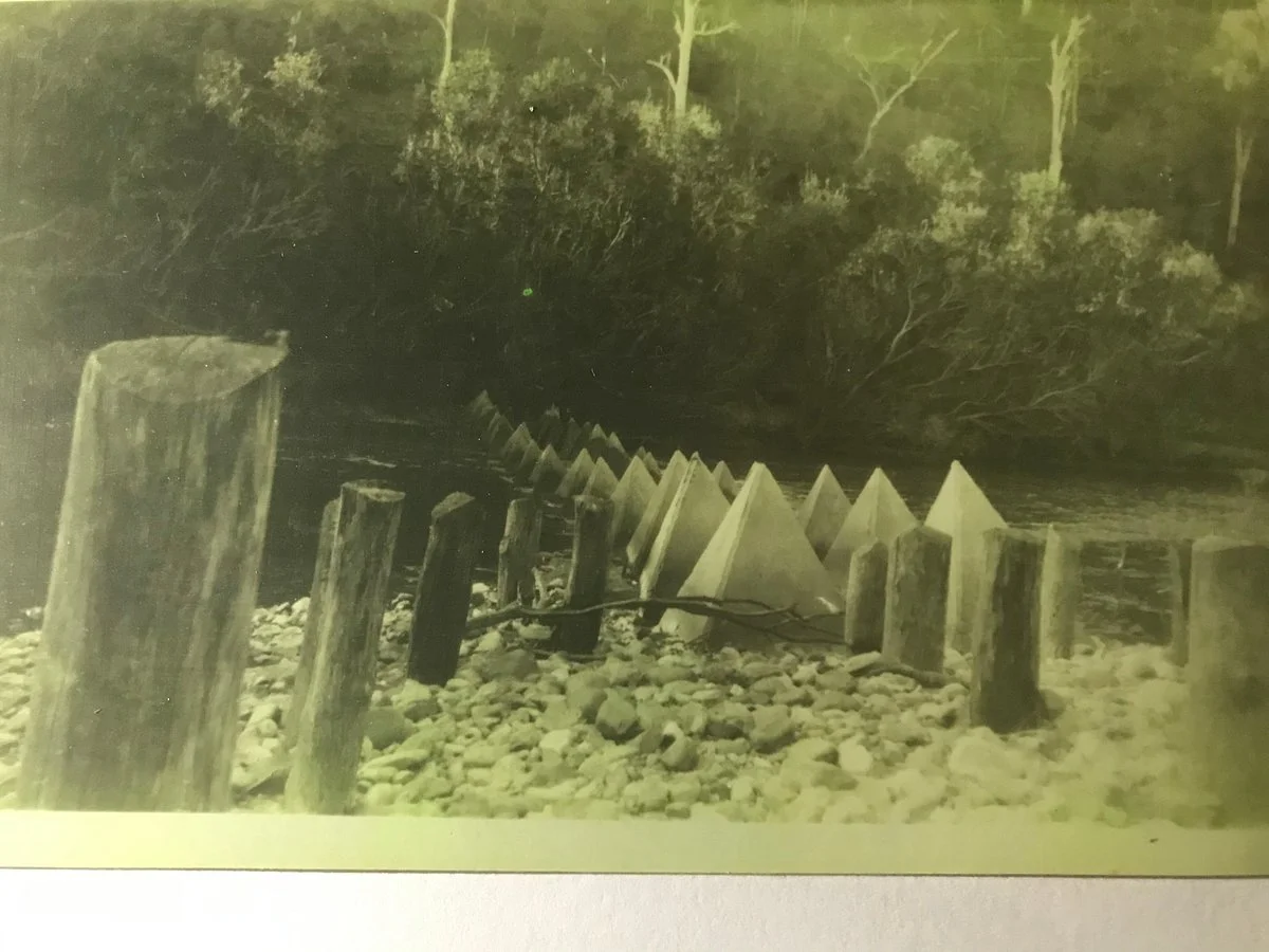 Paddy's Flat Tank Traps