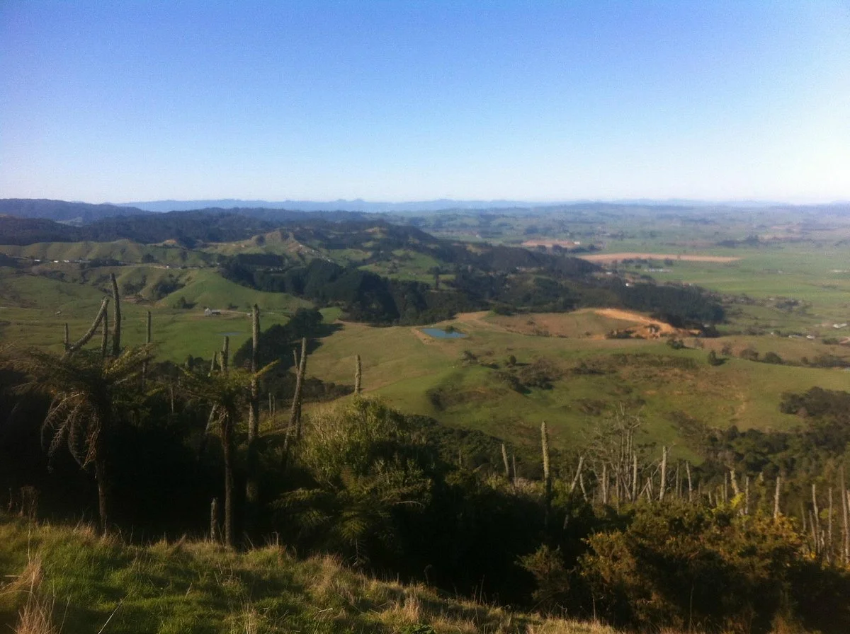 Mt William Walkway